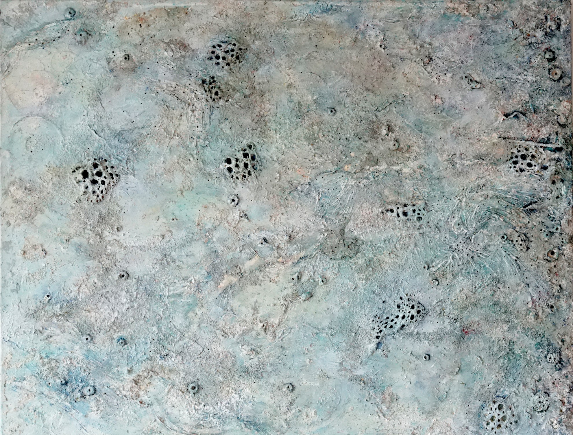 Fossil Coral