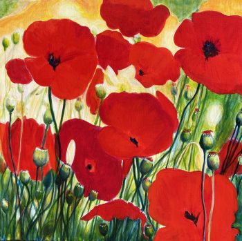 Poppies – 50 x 50 cm