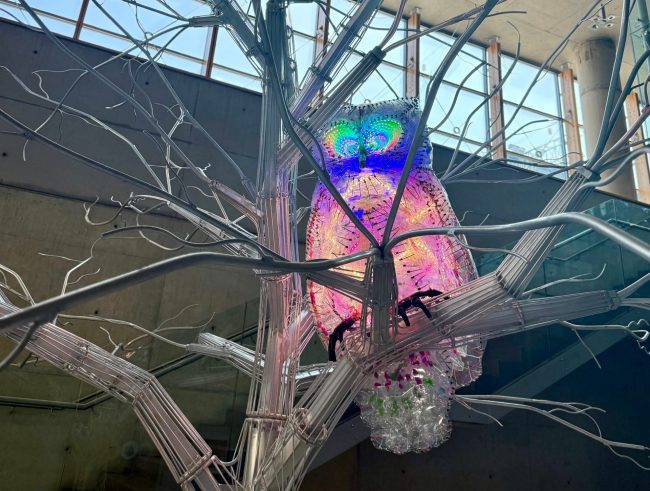 Plastic Owl  Size: 145 × 56 × 52 cm Materials: Plastic Waste, Metal Skeleton, LED Lights